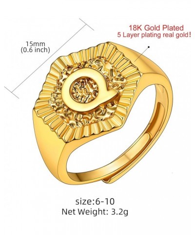 Gold Initial Letter Signet Ring, GoldChic Jewelry Women Trendy Statement Rings Women's Initials Ring for Party Letter Q $10.3...