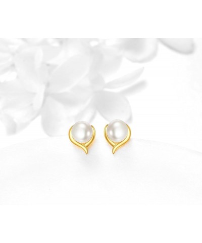 14k Real Gold Heart Stud Earrings for Women Star Cubic Zirconia Pearl Earrings Jewelry Mothers Day Birthday Gifts for Women G...