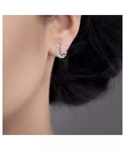 Earrings for Women Diamond Hoop Luxury Round Diamond Earrings Personality Bright Rhinestone Earrings One Size 04-Silver $3.77...