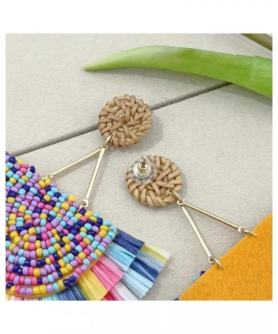 Bohemia Beaded Fringe Statement Earrings with Long Dangling Tassel Raffia Earrings for Women Big Mix $10.06 Earrings