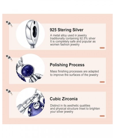 925 Sterling Silver Charms fit Bracelets Necklaces Ocean Animal Beads with 5A Cubic Zirconia Christmas Mother's Day Gift Char...