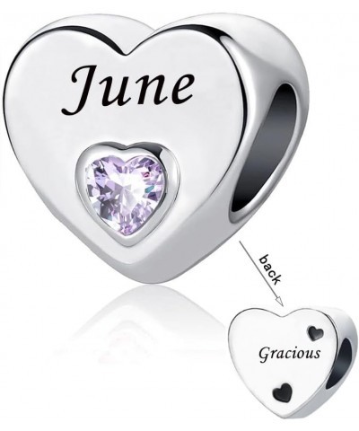 Heart Birthstone Charm January-December 12 Months Happy Birthday Charm Bead Compatible with Pandora Charms Bracelets for Fami...