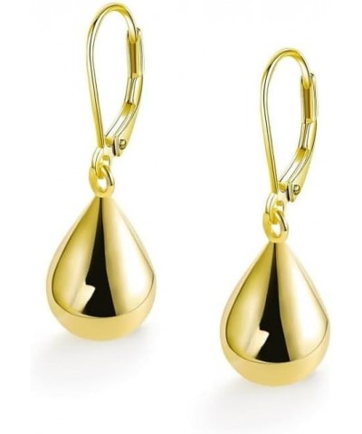 Silvery Gold Waterdrop Leverback Earrings Dangle Earrings Hypoallergenic Jewelry for Women Girls Gold $8.09 Earrings