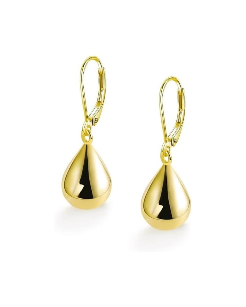 Silvery Gold Waterdrop Leverback Earrings Dangle Earrings Hypoallergenic Jewelry for Women Girls Gold $8.09 Earrings