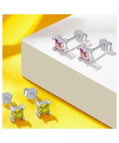 Birthstone Stud Earrings 925 Sterling Silver, Square CZ 12 Months Birthday Gifts for Women 10-October-Opal Birthstone $12.31 ...