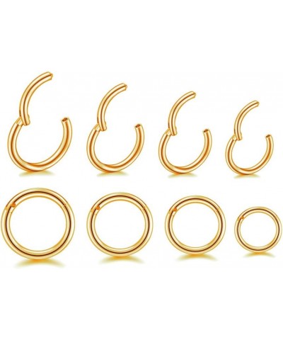 16G Hypoallergenic Nose Rings 316L Surgical Steel Piercing Jewelry Hinged Segment Ring Body Piercing Septum Nose Hoop Lip Rin...