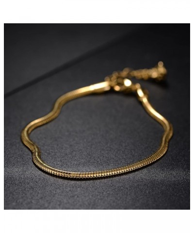 Gold Snake Chain Anklets for women,18K Gold Plated Dainty Adjustable Snake Chain Link Anklet Charm Summer Beach Anklet Jewelr...