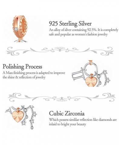 12 Zodiac Sign Birthday Charms 925 Sterling Silver Charms Fits Women's Charm Bracelet & Necklace Valentine's Day Mother's Day...