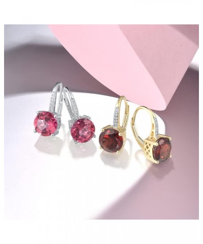 10K Solid Gold Genuine Diamond Leverback Dangle Earrings for Women [B]Red-Round $76.05 Earrings