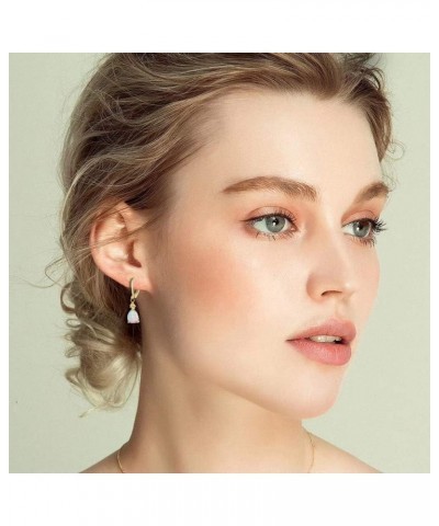 Leverback Opal Dangle Drop Earrings For Women Girls 14K Gold Plated Teardrop Earrings leverback-yellow gold $11.19 Earrings