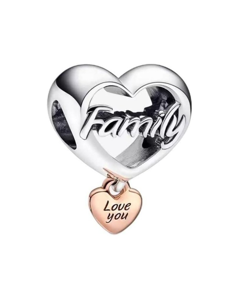 Heart Animal Family Charm 925 Sterling Silver Bead for Charm Bracelets and Necklaces with 5A Cubic Zirconia, Birthday Mothers...