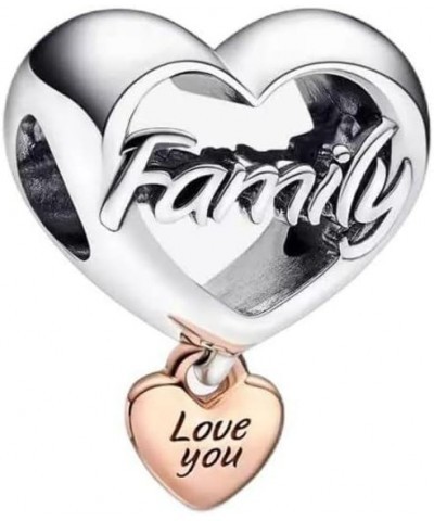 Heart Animal Family Charm 925 Sterling Silver Bead for Charm Bracelets and Necklaces with 5A Cubic Zirconia, Birthday Mothers...